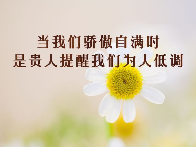 7587年生肖兔12月逢贵人相助99年生肖兔坚持自我避烂桃花