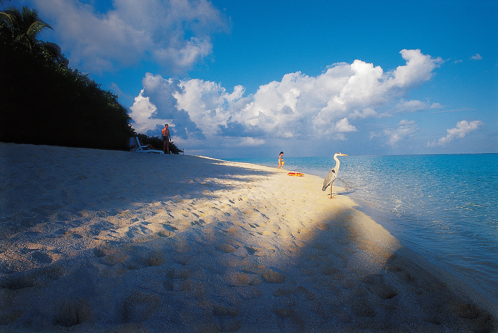 马尔代夫旅游业逐步复苏