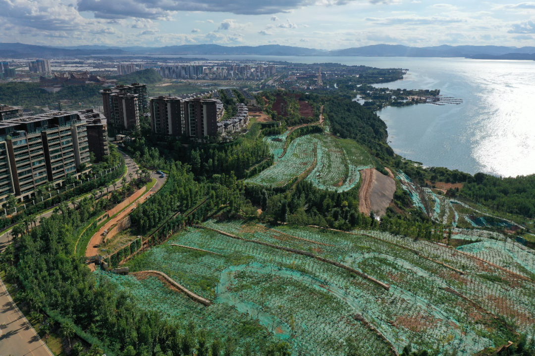 多位官员接连被查昆明滇池治污者被批沦为污染源丨追踪