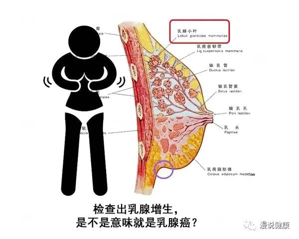 体检查出一身异常？8种“异常”，先别太着急，有些根本不用治疗休闲区蓝鸢梦想 - Www.slyday.coM