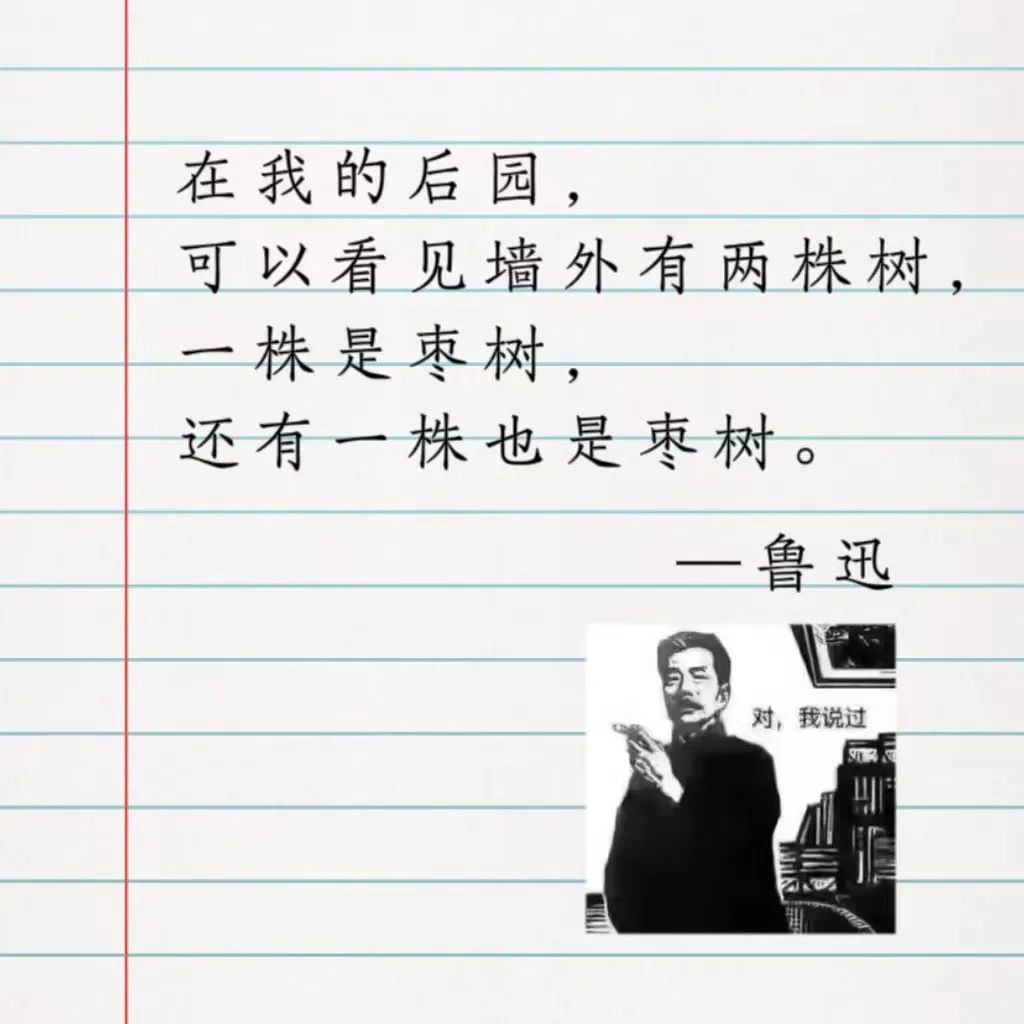 苹果都在“抄”的废话文学，是Z世代的反抗休闲区蓝鸢梦想 - Www.slyday.coM