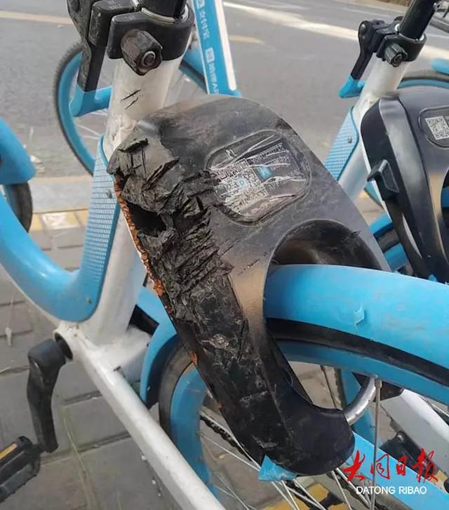 共享变独享共享单车为何屡遭破坏