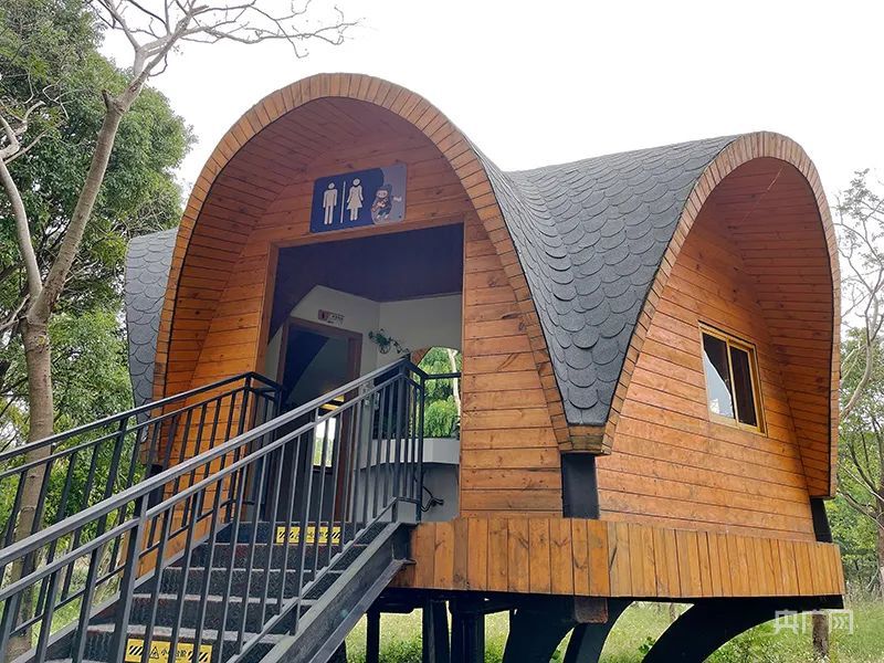 金山区树屋厕所获"最佳创意设计"奖(央广网发 受访者供图)