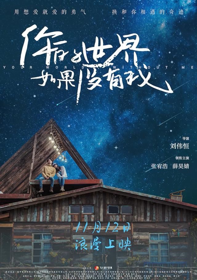 《你的世界如果没有我》曝"星空奔赴"版海报 12.