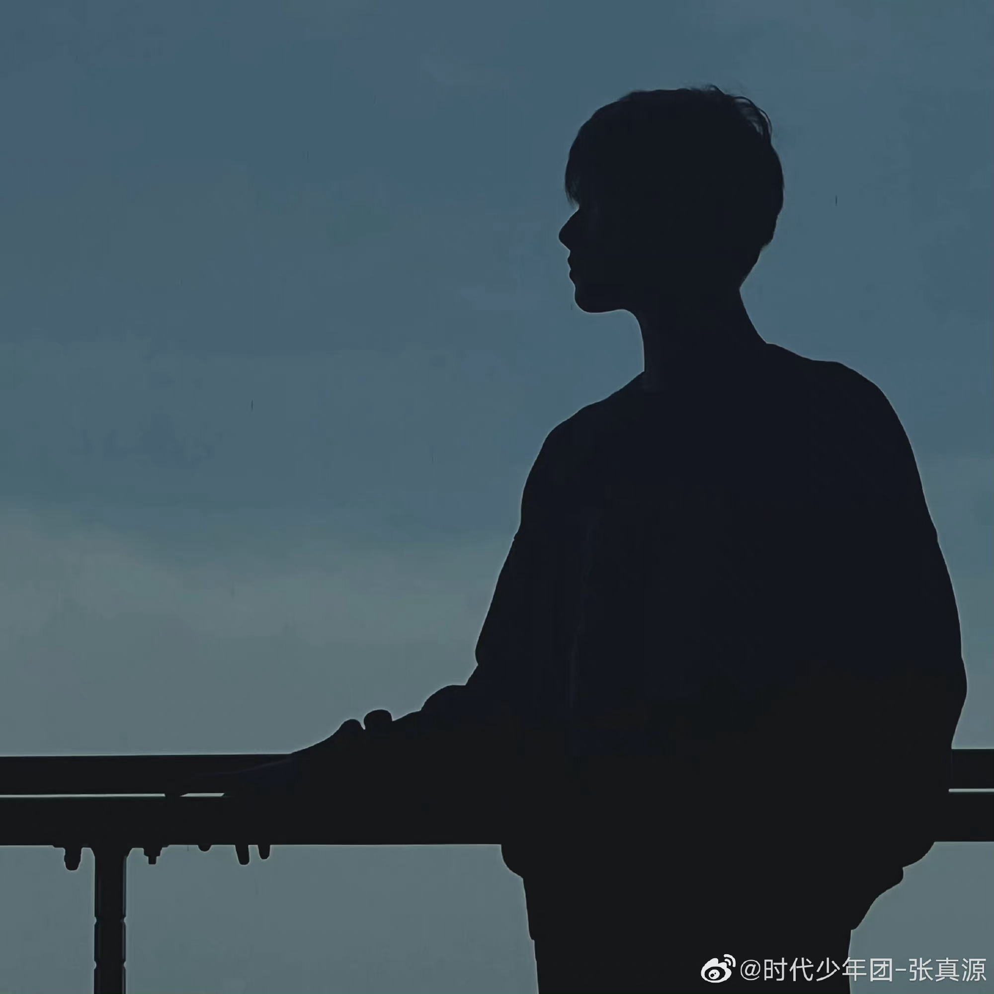 丨张真源在微博分享了自己的暮色侧影照并配文随机暮色