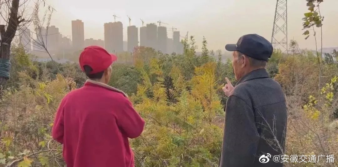 安徽多地发现加拿大一枝黄花,你有见过吗?休闲区蓝鸢梦想 - Www.slyday.coM 安徽多地发现加拿大一枝黄花,你有见过吗?休闲区蓝鸢梦想 - Www.slyday.coM