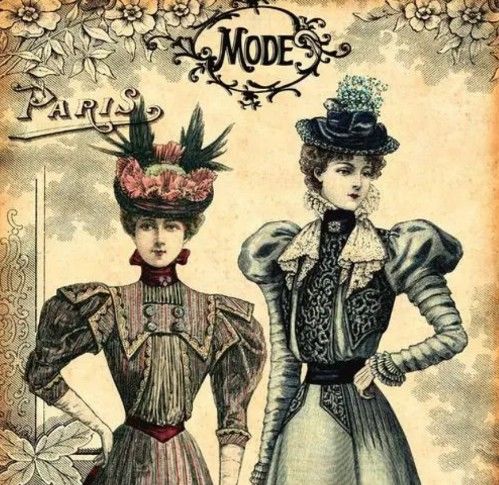 被吉尼斯评为“最危险”的鸟类,能一脚踢穿钢板,到底有多危险?休闲区蓝鸢梦想 - Www.slyday.coM 被吉尼斯评为“最危险”的鸟类,能一脚踢穿钢板,到底有多危险?休闲区蓝鸢梦想 - Www.slyday.coM