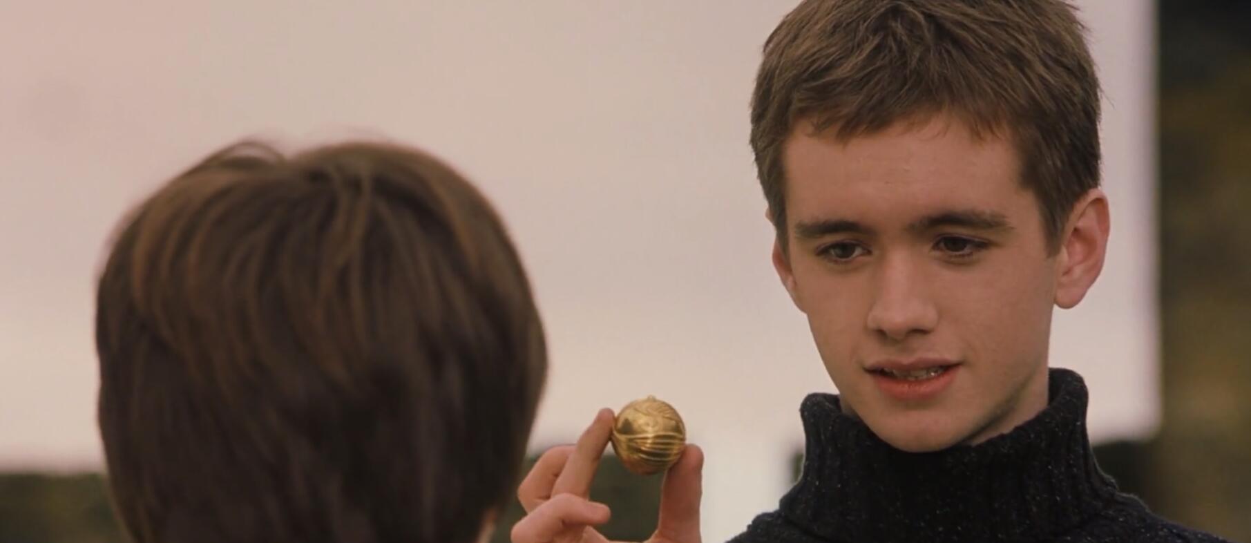 他拿到了金色飞贼你最喜欢哪一位魁地奇运动员