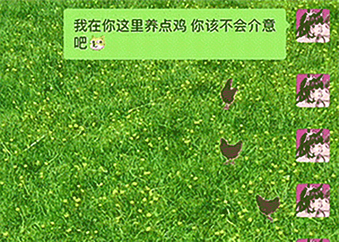 在微信里养宠物突然火了