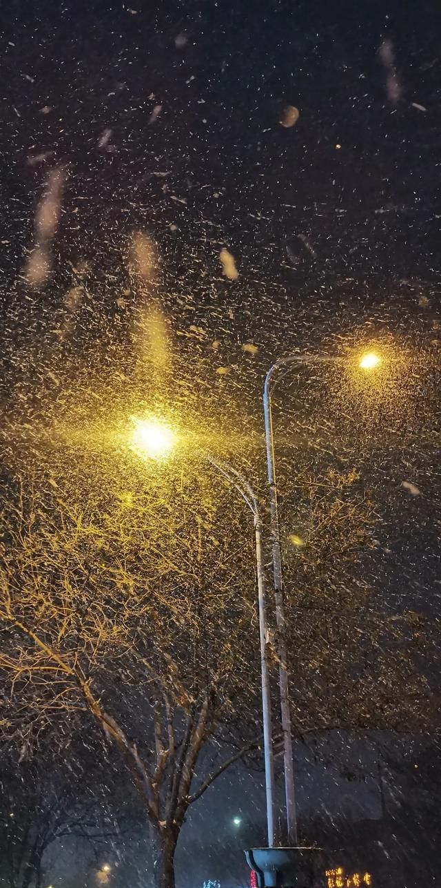 郭燕云孤独与雪有染