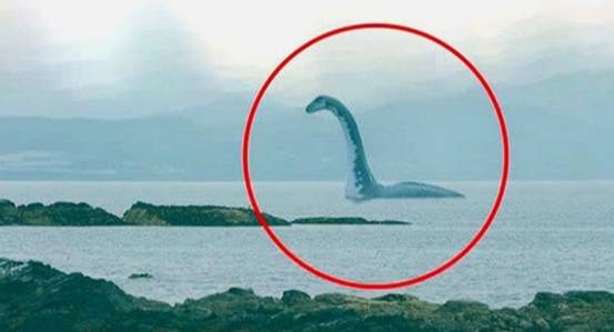 真是龙吗不断有人在长白山天池看到水怪脖子有1米长