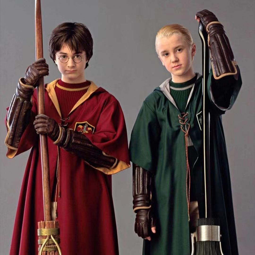 他拿到了金色飞贼你最喜欢哪一位魁地奇运动员