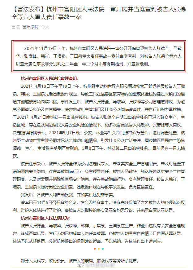 杭州金钱豹出逃6人获刑 仍有一只未被捕获休闲区蓝鸢梦想 - Www.slyday.coM