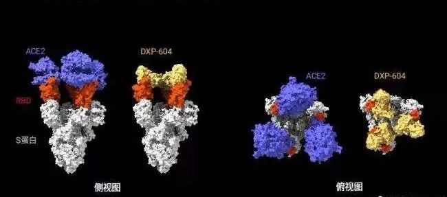河南昨日新增确诊病例1例！郑州发布50号通告！能防变异株，我国新冠特效药或再出“黑马”！还有这些重要提醒！休闲区蓝鸢梦想 - Www.slyday.coM