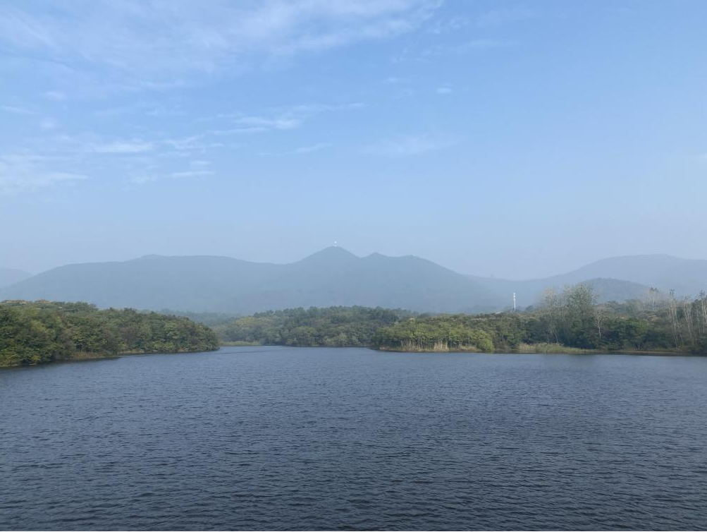江浦街道推进狮子岭水库消险项目建设|江苏省|南京市_新浪新闻
