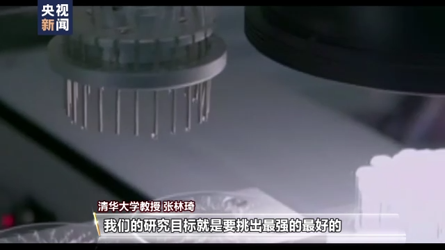 又有快递检出阳性    能防变异株，我国新冠特效药或再出“黑马”→休闲区蓝鸢梦想 - Www.slyday.coM