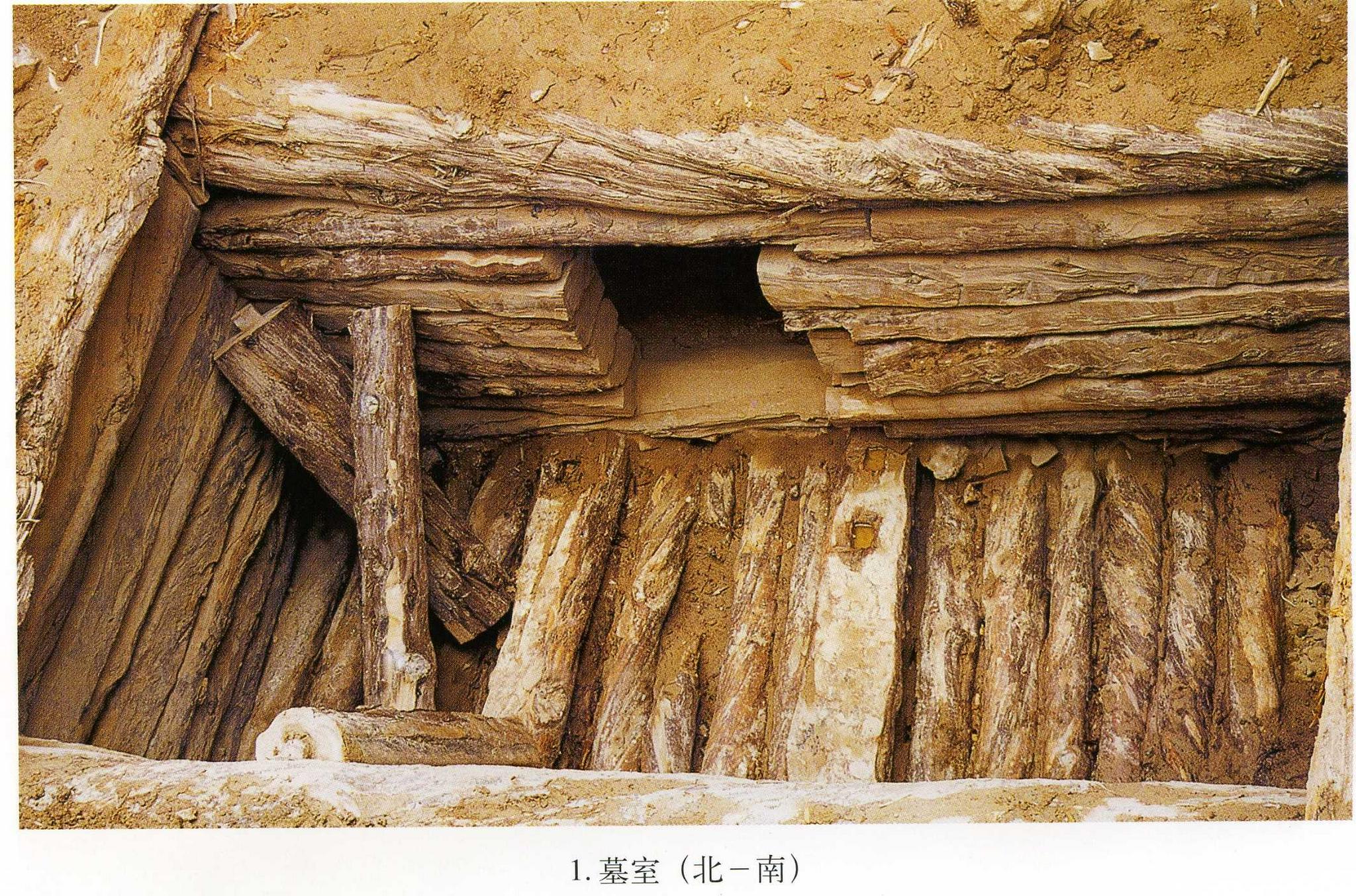 北大考古与"百年百大考古发现"|青海都兰热水墓群