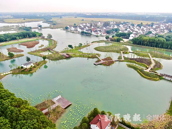 图说:江南圩田样板区 新民晚报记者 徐程/摄