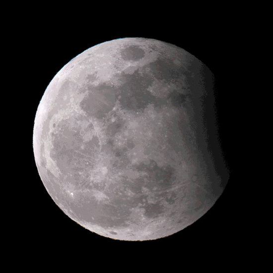 550_550gif 动态图 动图