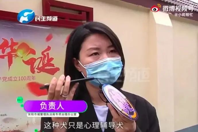 狗咬人不承认？央媒关注后，把女记者为难哭的狗主人想和解了休闲区蓝鸢梦想 - Www.slyday.coM
