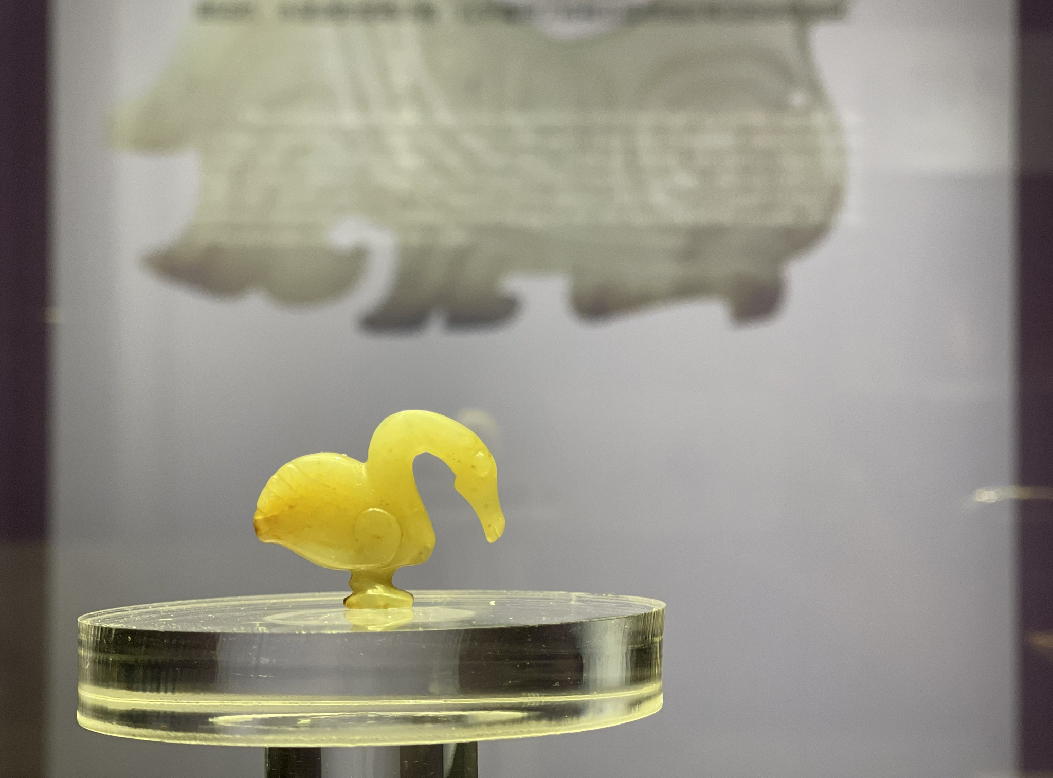 玉鹅 三门峡虢国博物馆藏 澎湃新闻记者