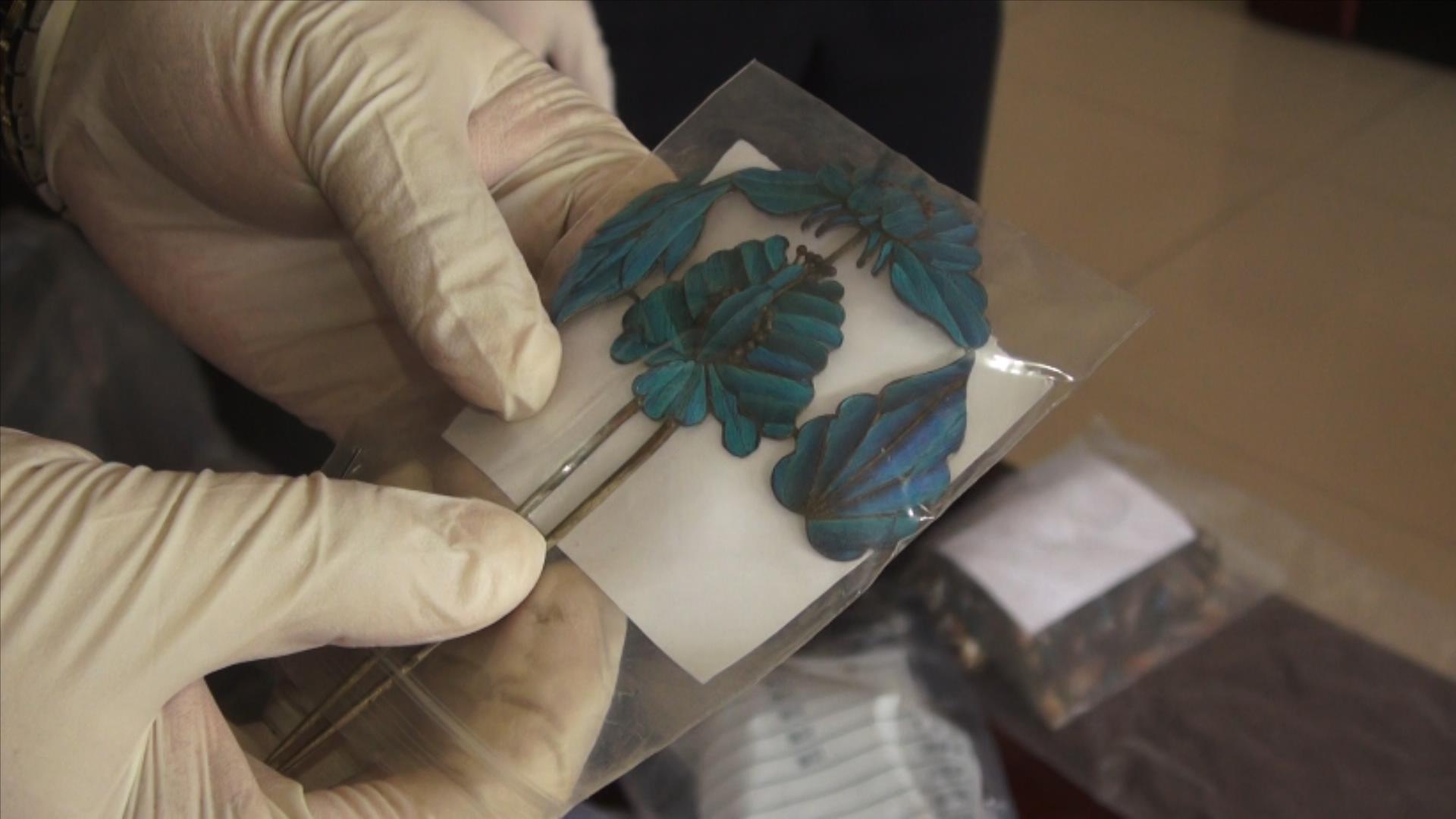 活体拔羽，一件头饰用80只鸟！携点翠饰品出京，男子获刑休闲区蓝鸢梦想 - Www.slyday.coM