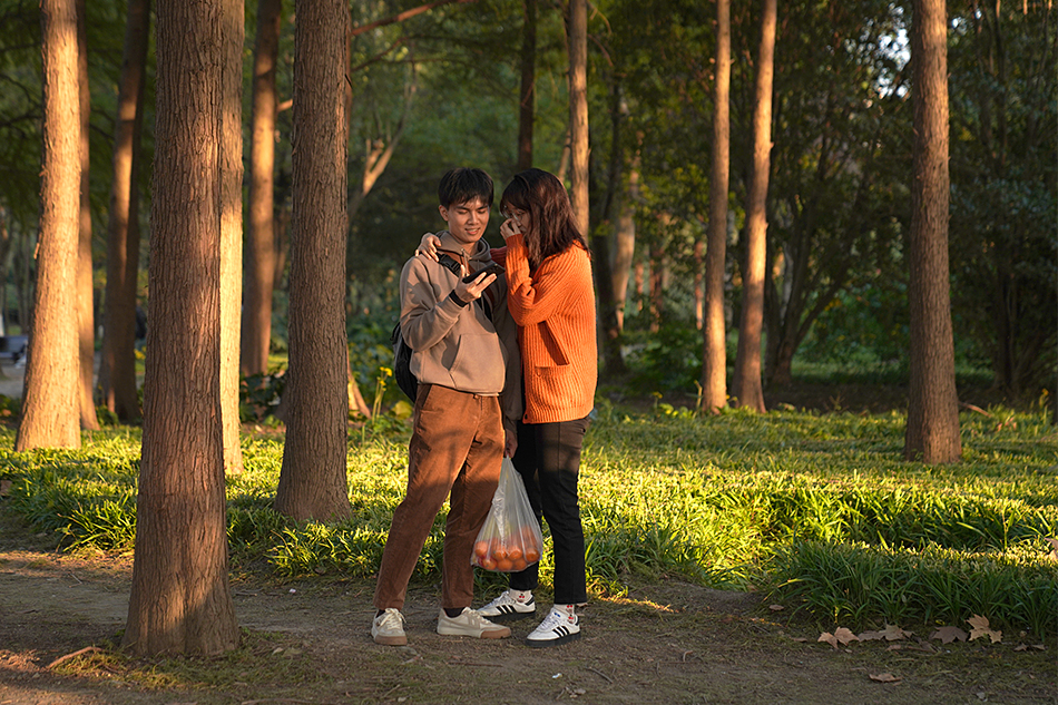 2021年11月16日,世纪公园,树林中的一对情侣.实习生 王潇 图