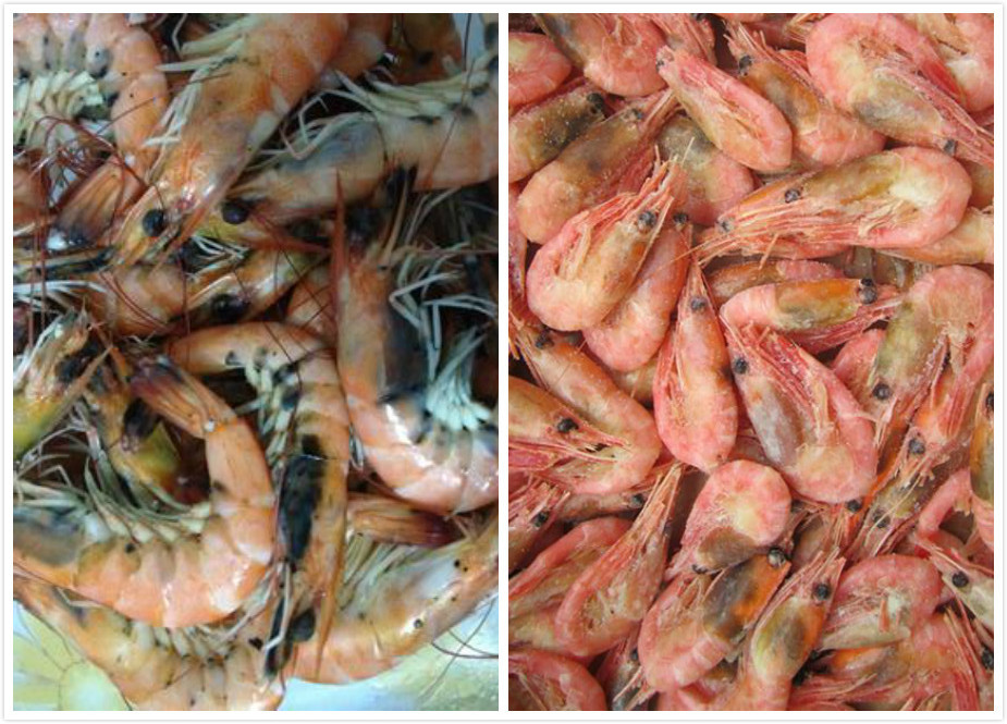 虾头变黑跟重金属无关|虾头|重金属|虾_新浪新闻