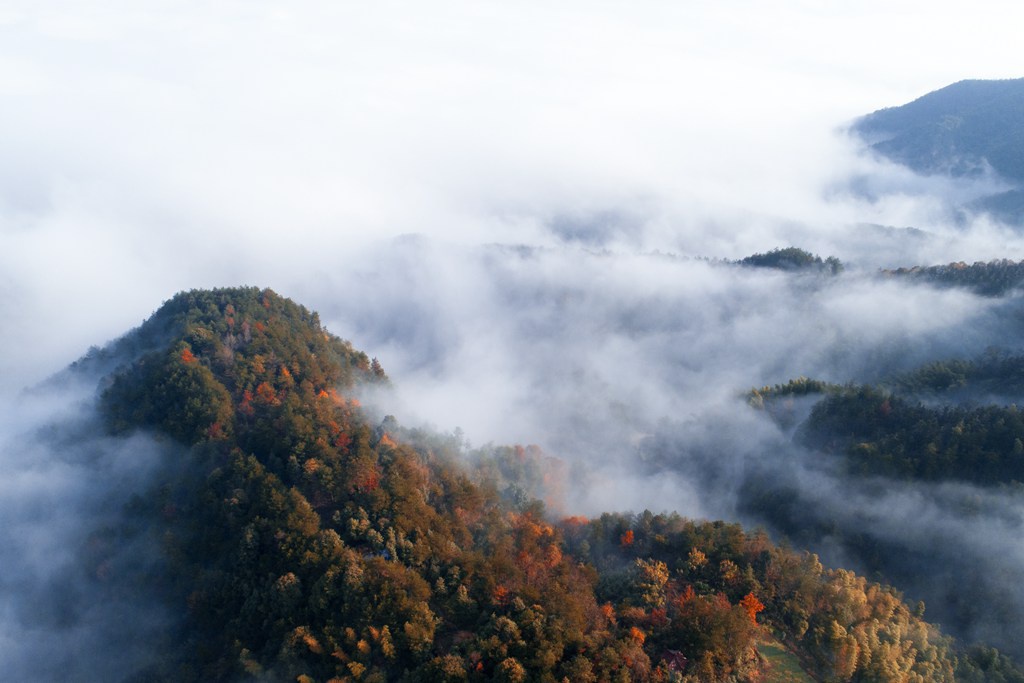 南山国家森林公园获批成立 东阳迎来首个国家级森林公园