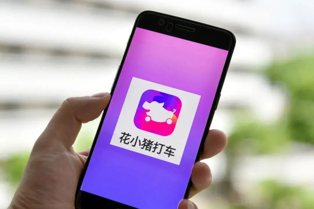 滴滴花小猪因疫情防控措施不到位被处罚每日金闻