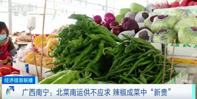 广西南宁：辣椒价格连涨两个月还供不应求 成菜中“新贵”