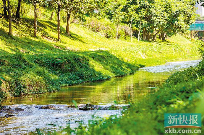 黄埔区水声涌碧道升级改造完成|水声|黄埔区|南岗河_新浪新闻