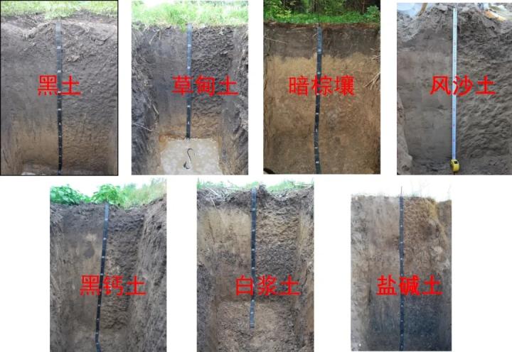 地形,热量和降水条件造就了土壤多样性质:黑土,黑钙土,白浆土,草甸土