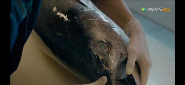 你会为了迁就他/她们而改变你的饮食嗜好吗休闲区蓝鸢梦想 - Www.slyday.coM