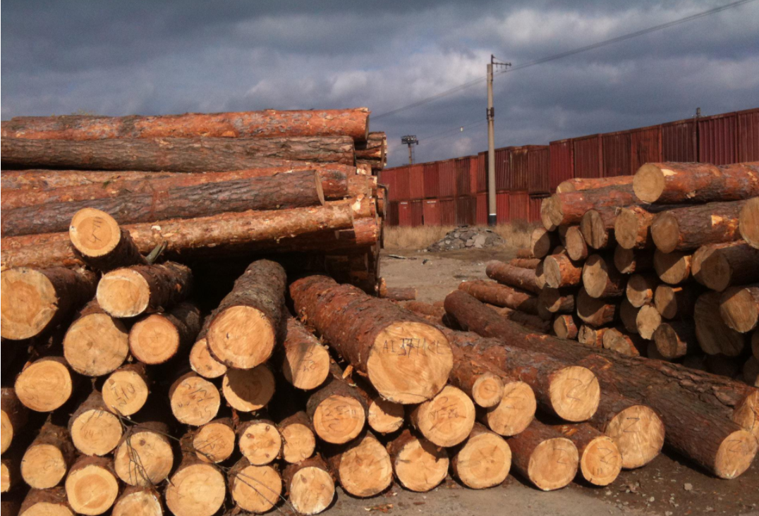 玩具变异宠!广州海关截获6只活体“大力神”,危害有多大?休闲区蓝鸢梦想 - Www.slyday.coM 玩具变异宠!广州海关截获6只活体“大力神”,危害有多大?休闲区蓝鸢梦想 - Www.slyday.coM