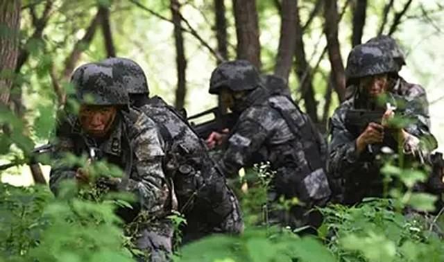 合成旅与合成营中间，为何少了一个合成团？合成营究竟有多牛？休闲区蓝鸢梦想 - Www.slyday.coM