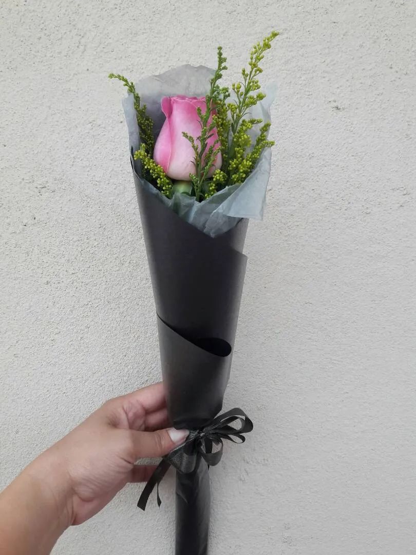 恶性杂草加拿大一枝黄花,和花店的黄莺长一个样,但危害性差别大休闲区蓝鸢梦想 - Www.slyday.coM 恶性杂草加拿大一枝黄花,和花店的黄莺长一个样,但危害性差别大休闲区蓝鸢梦想 - Www.slyday.coM