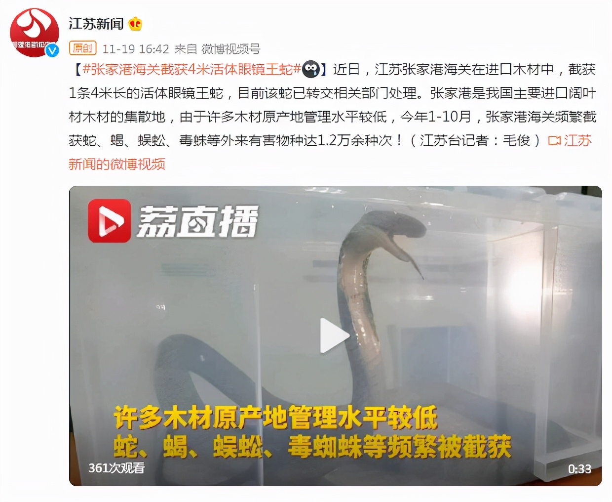 玩具变异宠!广州海关截获6只活体“大力神”,危害有多大?休闲区蓝鸢梦想 - Www.slyday.coM 玩具变异宠!广州海关截获6只活体“大力神”,危害有多大?休闲区蓝鸢梦想 - Www.slyday.coM