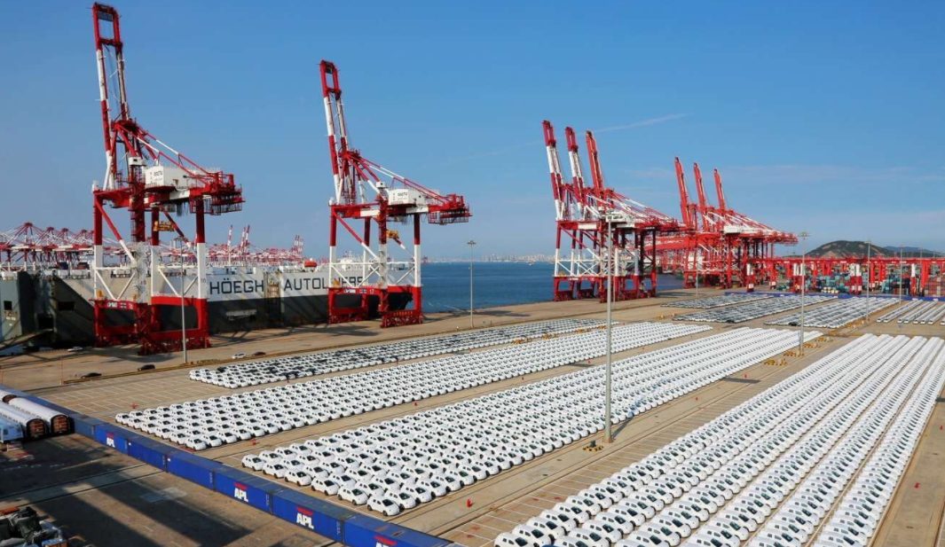 玩具变异宠!广州海关截获6只活体“大力神”,危害有多大?休闲区蓝鸢梦想 - Www.slyday.coM 玩具变异宠!广州海关截获6只活体“大力神”,危害有多大?休闲区蓝鸢梦想 - Www.slyday.coM