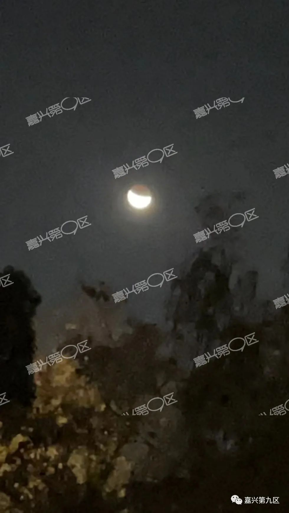 近600年一见的月偏食，嘉兴人朋友圈刷屏了！照片拍得也太美了吧～休闲区蓝鸢梦想 - Www.slyday.coM
