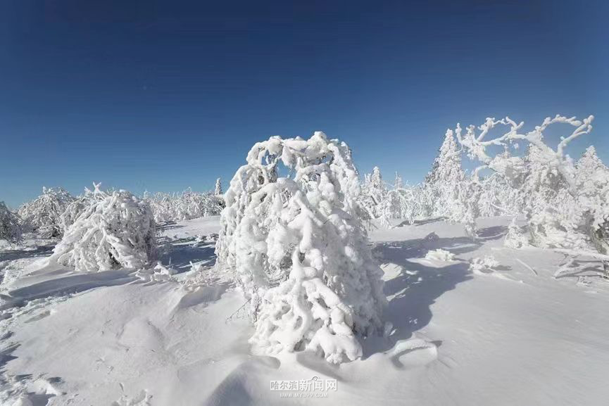 雪后凤凰山美如画,今年积雪厚度将超往年