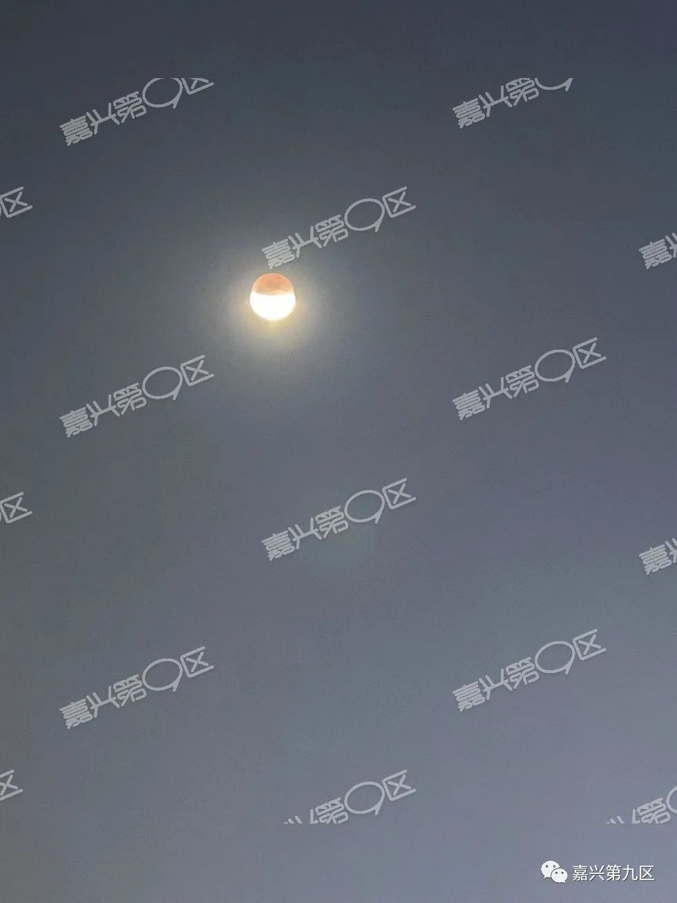近600年一见的月偏食，嘉兴人朋友圈刷屏了！照片拍得也太美了吧～休闲区蓝鸢梦想 - Www.slyday.coM