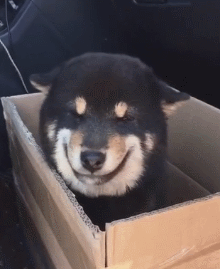 310_378gif 动态图 动图