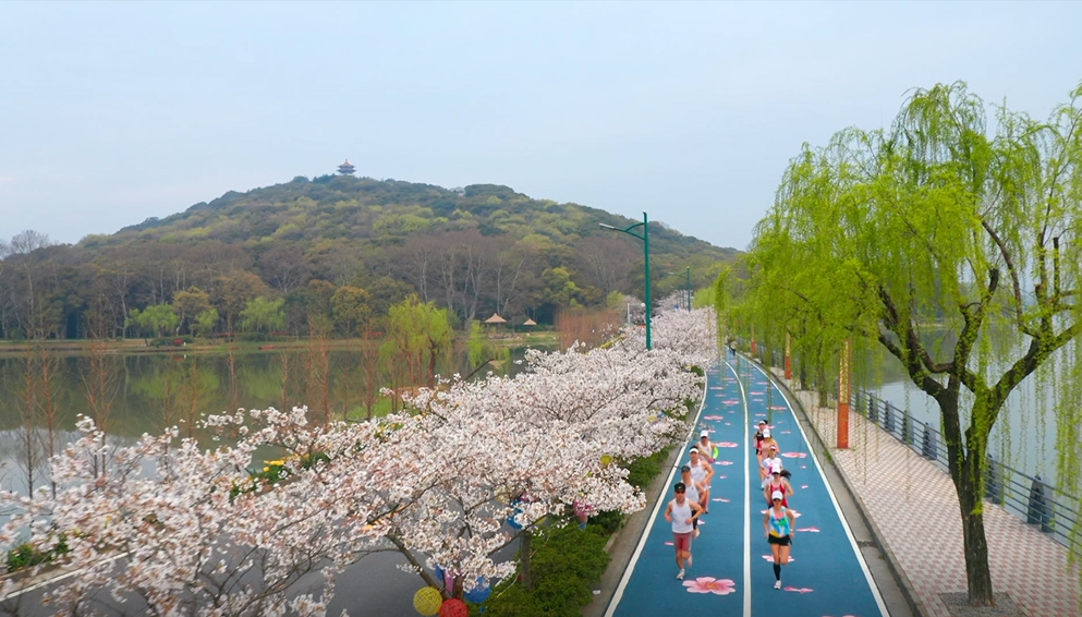 体育强省每周一景丨无锡滨湖区十里芳堤樱花跑道