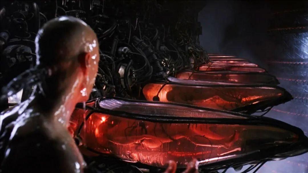 就是建立在机械章鱼,超级计算机和无数浸泡在粉红色培养液中的人类