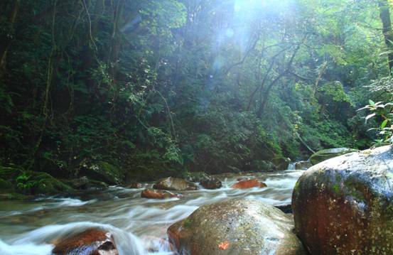 仍在搜救!4名考察队员野外失联,他们进入的哀牢山有多可怕?休闲区蓝鸢梦想 - Www.slyday.coM 仍在搜救!4名考察队员野外失联,他们进入的哀牢山有多可怕?休闲区蓝鸢梦想 - Www.slyday.coM