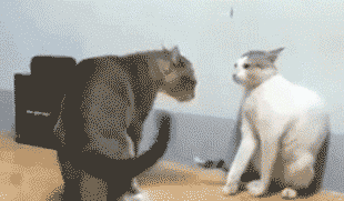 Coach还要更快，天下武功，唯快不破休闲区蓝鸢梦想 - Www.slyday.coM