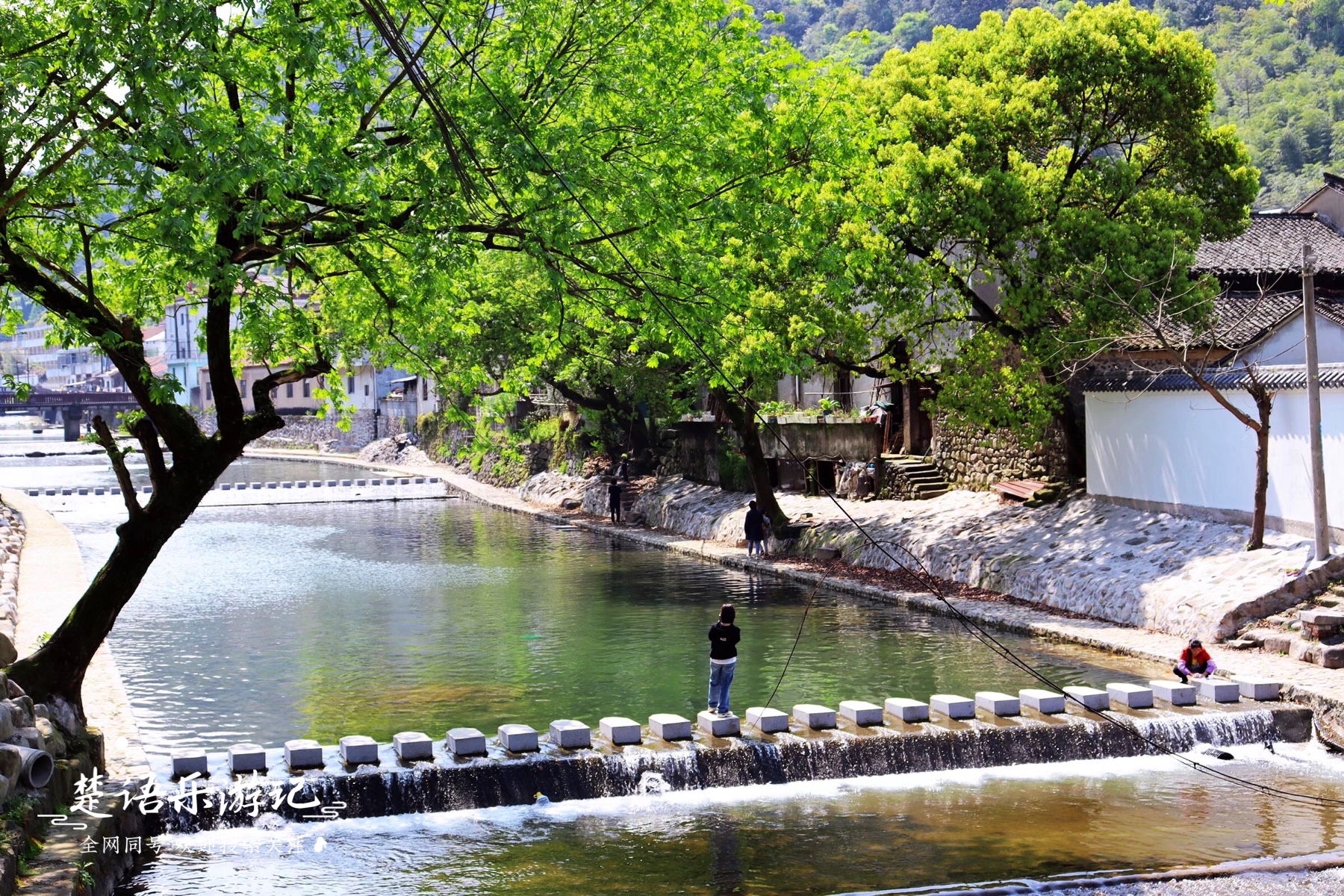 浙江余姚这个古村红杉满湖美到让人窒息丛志强都忍不住要出手