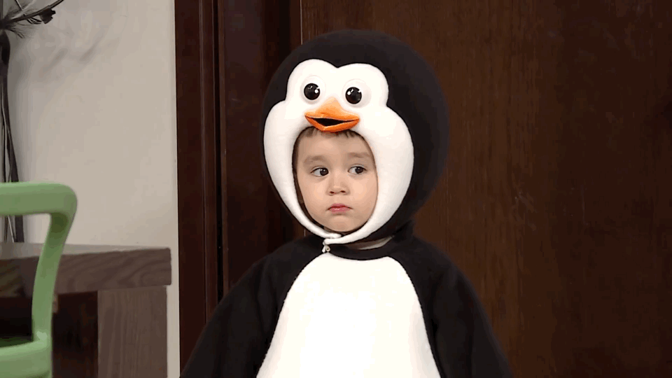 本特利太可爱了吧