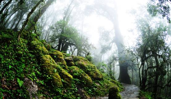 仍在搜救!4名考察队员野外失联,他们进入的哀牢山有多可怕?休闲区蓝鸢梦想 - Www.slyday.coM 仍在搜救!4名考察队员野外失联,他们进入的哀牢山有多可怕?休闲区蓝鸢梦想 - Www.slyday.coM